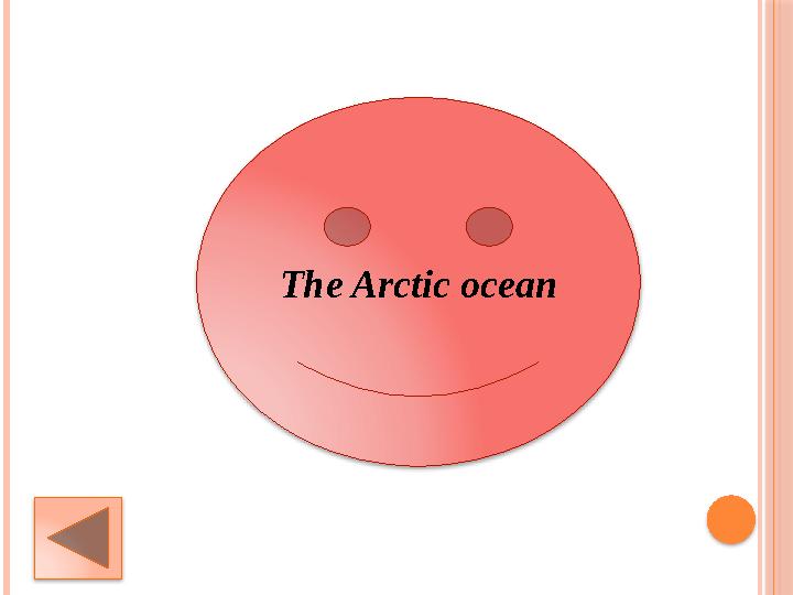 The Arctic ocean