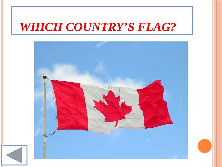WHICH COUNTRY’S FLAG?