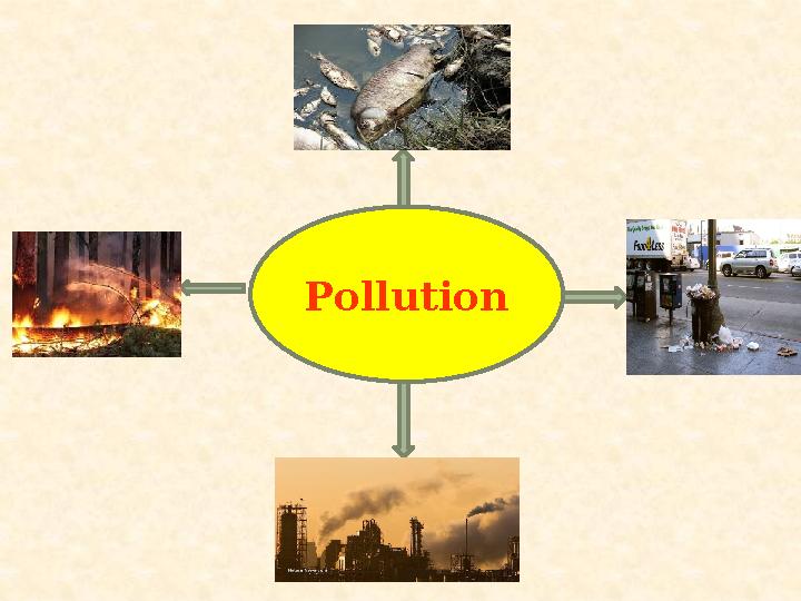 Pollution