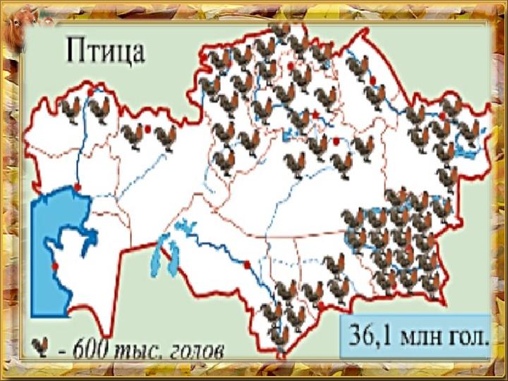 ПТИЦЕВОДСТВО Сконцентрировано в районах, расположенных недалеко от крупных промышленных центров, городов, зернообрбатывающих