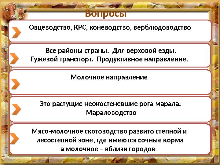 Вопросы Какова разница в размещении молочного и мясо-молочного скотоводства на территории Казахстана? Какие основные отрасл