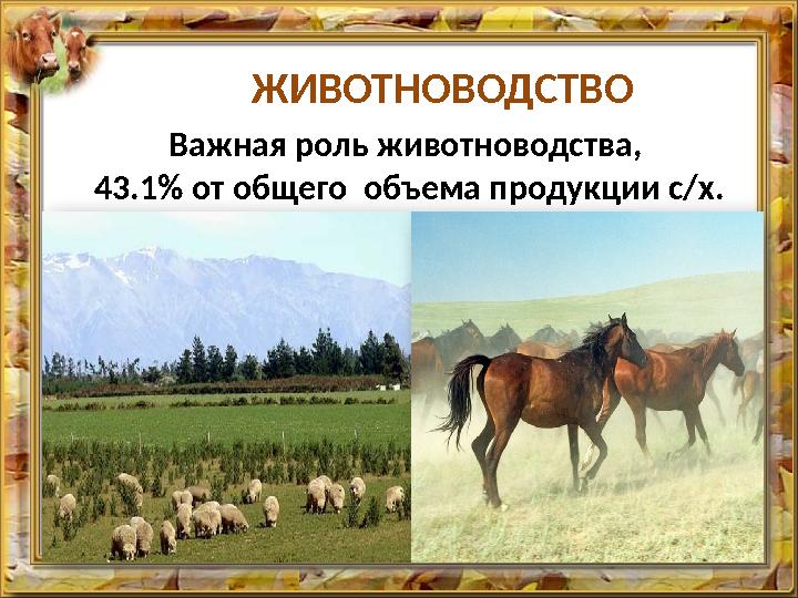 ЖИВОТНОВОДСТВО Важная роль животноводства, 43.1% от общего объема продукции с/х. По карте атласа на стр. 15 определите, какие