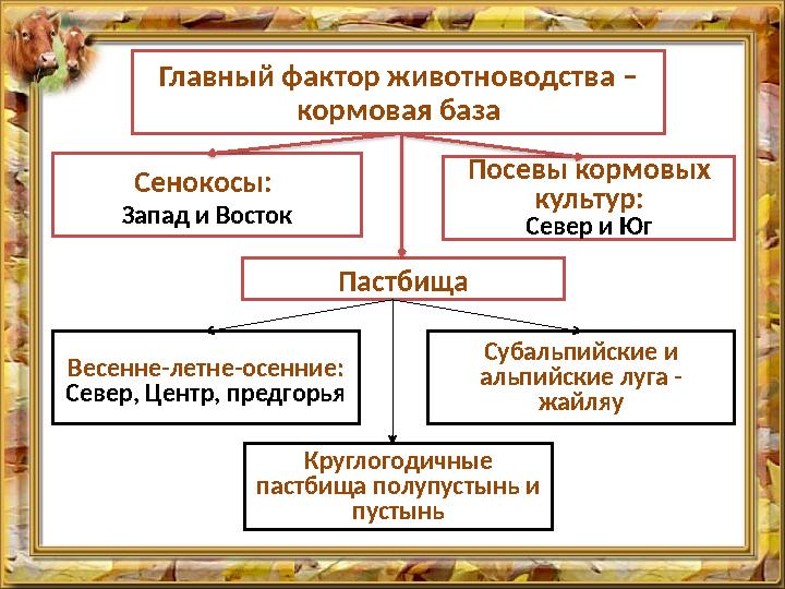 Главный фактор животноводства – кормовая база Пастбища Сенокосы: Запад и Восток Посевы кормовых культур: Север и Юг Весенн