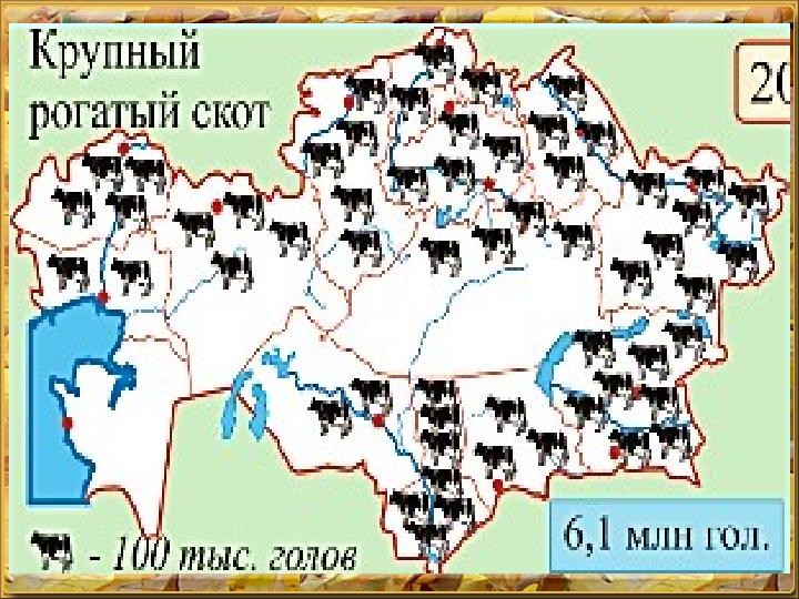Крупный рогатый скот Различают районы молочного, мясного и смешан ­ ного мясо-молочного (или молочно-мясного) скотоводства в за