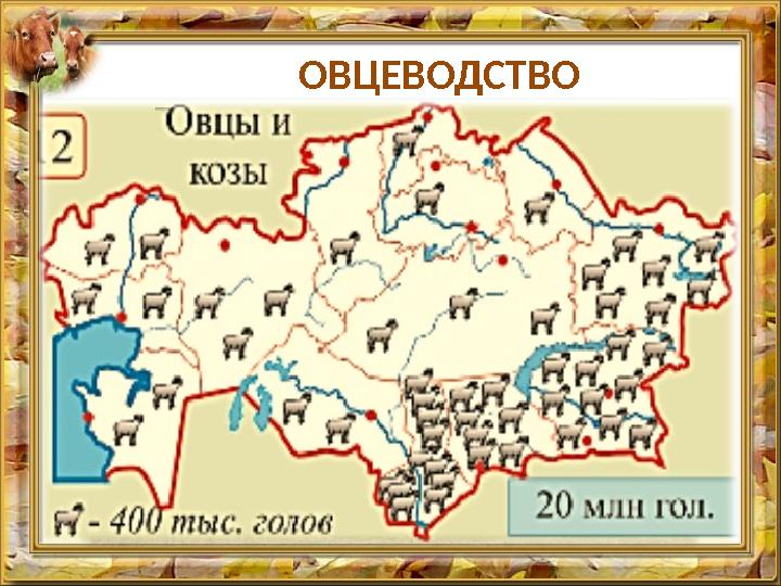 ОВЦЕВОДСТВО Традиционное занятие казахов, переходящие из поколения в поколение. Природные условия республи ­ки благоприятны д