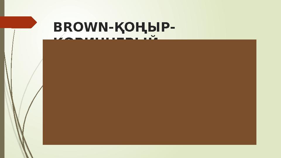 BROWN-ҚОҢЫР- КОРИЧНЕВЫЙ