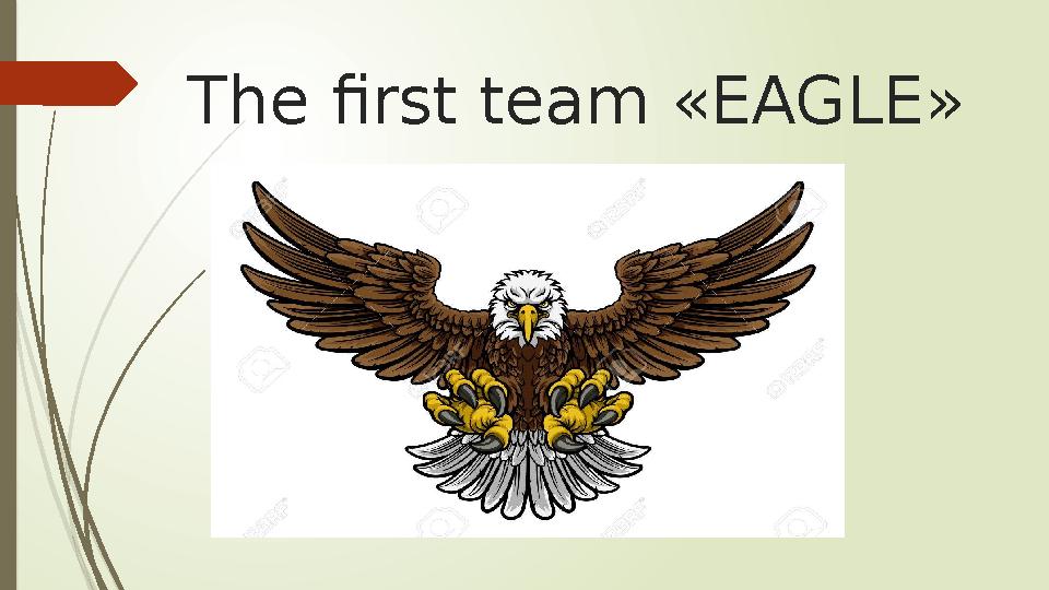 The first team «EAGLE»