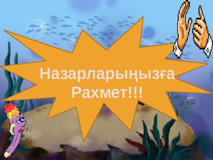 Назарларыңызға Рахмет!!!
