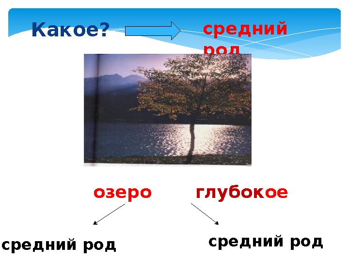 Какое? средний род озеро средний род средний род глубокое