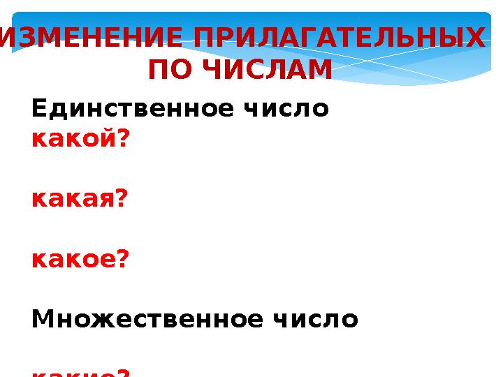ИЗМЕНЕНИЕ ПРИЛАГАТЕЛЬНЫХ ПО ЧИСЛАМ Единственное число какой? какая?