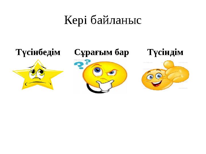 Кері байланыс Түсінбедім Сұрағым бар Түсіндім
