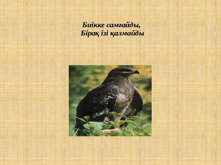 Биікке самғайды, Бірақ ізі қалмайды