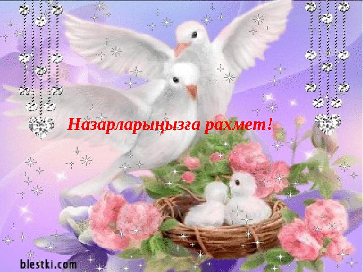 Назарларыңызға рахмет!