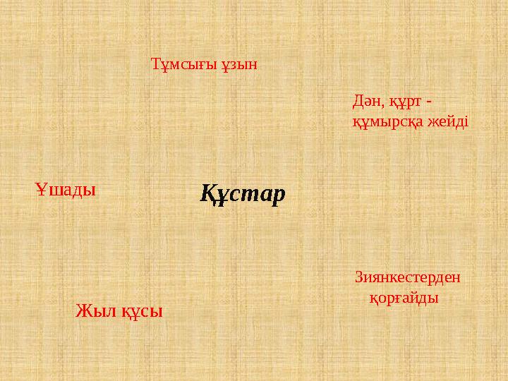 Құстар