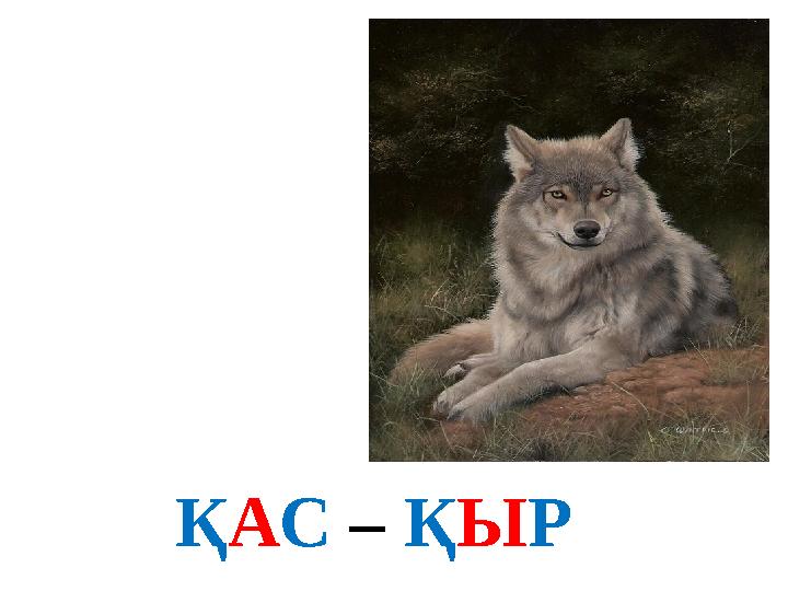ҚАС – ҚЫР