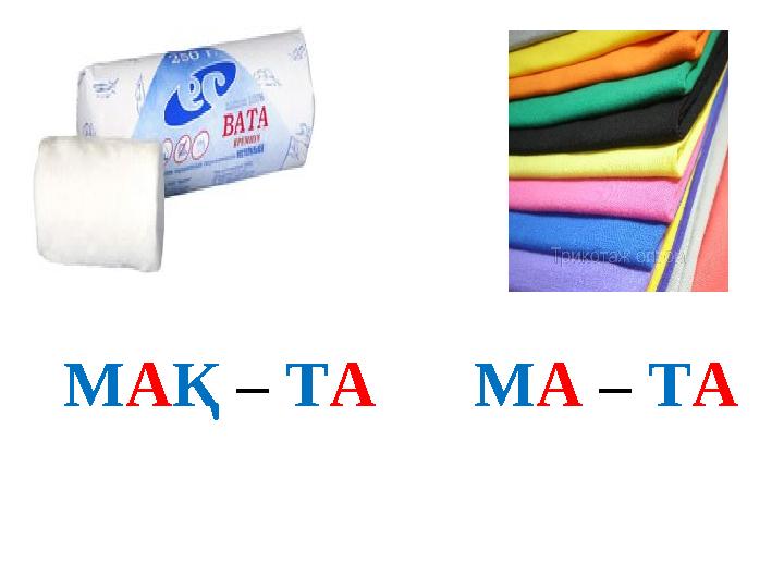 МАҚ – ТА МА – ТА