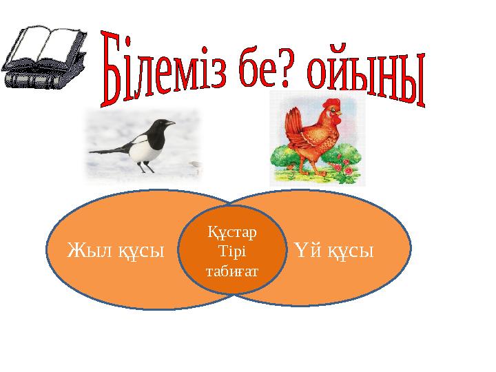 Үй құсы Құстар Тірі табиғат Жыл құсы