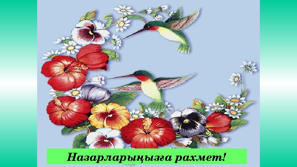 Назарларыңызға рахмет!