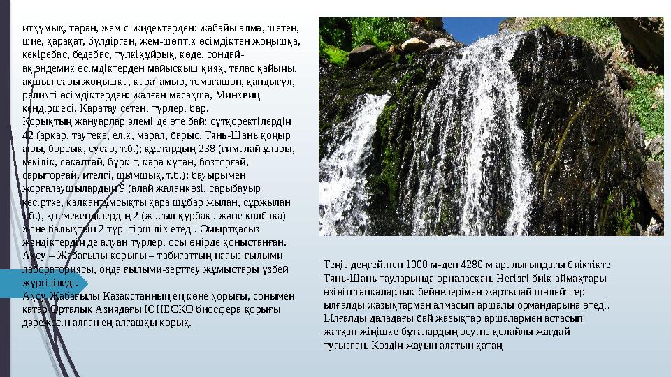 итқұмық, таран, жеміс-жидектерден: жабайы алма, шетен, шие, қарақат, бүлдірген, жем-шөптік өсімдіктен жоңышқа, ке