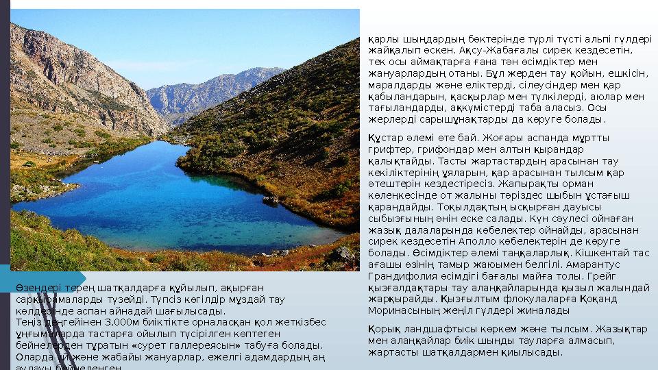 қарлы шыңдардың бөктерінде түрлі түсті альпі гүлдері жайқалып өскен. Ақсу-Жабағалы сирек кездесетін, тек осы айма