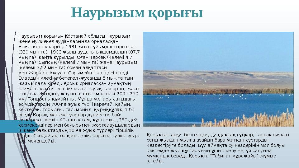 Наурызым қорығы Наурызым қорығы– Қостанай облысы Наурызым және Әулиекөл аудандарында орналасқан мемлекеттік қорық