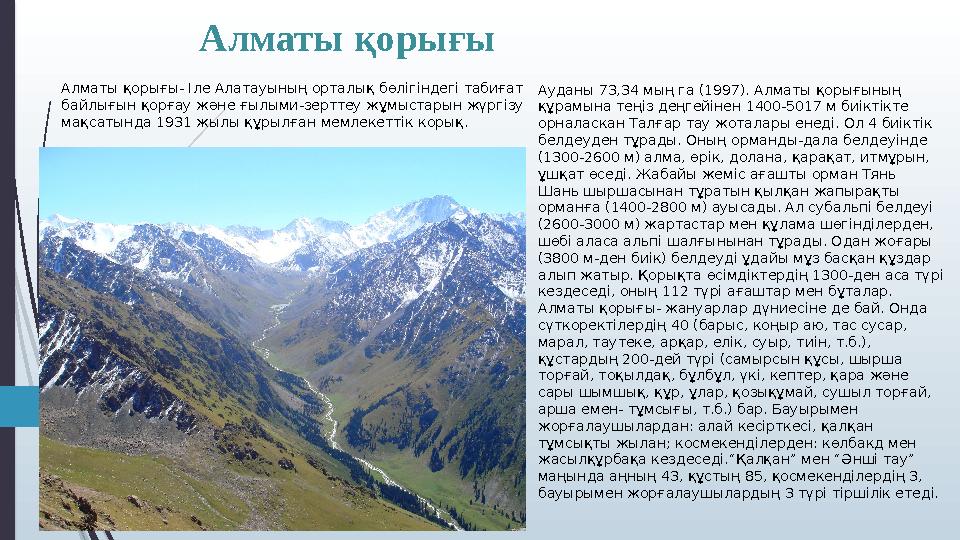 Алматы қорығы Ауданы 73,34 мың га (1997). Алматы қорығының құрамына теңіз деңгейінен 1400-5017 м биіктікте орнала