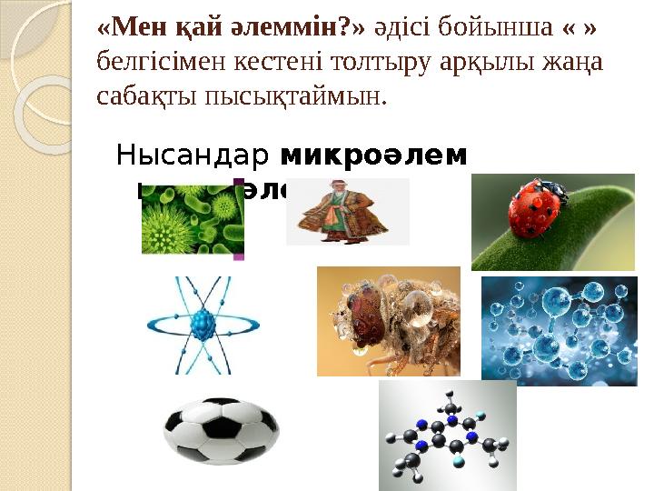 «Мен қай әлеммін?» әдісі бойынша « » белгісімен кестені толтыру арқылы жаңа сабақты пысықтаймын. Нысандар микроәлем ма