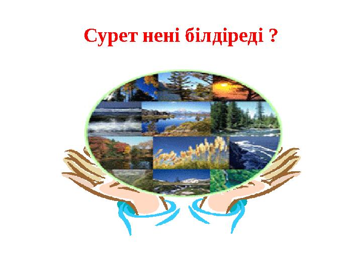 Сурет нені білдіреді ?