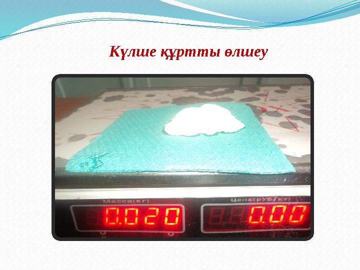 Күлше құртты өлшеу