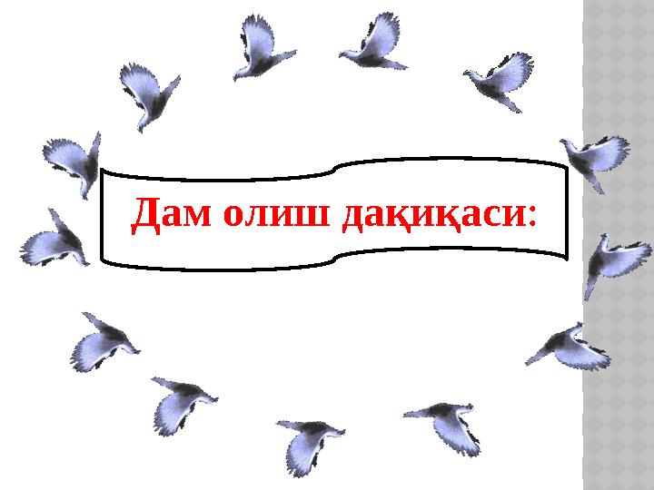 Дам олиш дақиқаси: