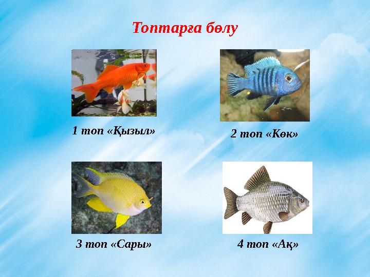 Топтарға бөлу 1 топ «Қызыл» 4 топ «Ақ»3 топ «Сары» 2 топ «Көк»