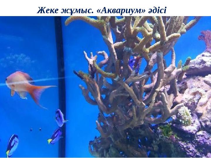 Жеке жұмыс. «Аквариум» әдісі
