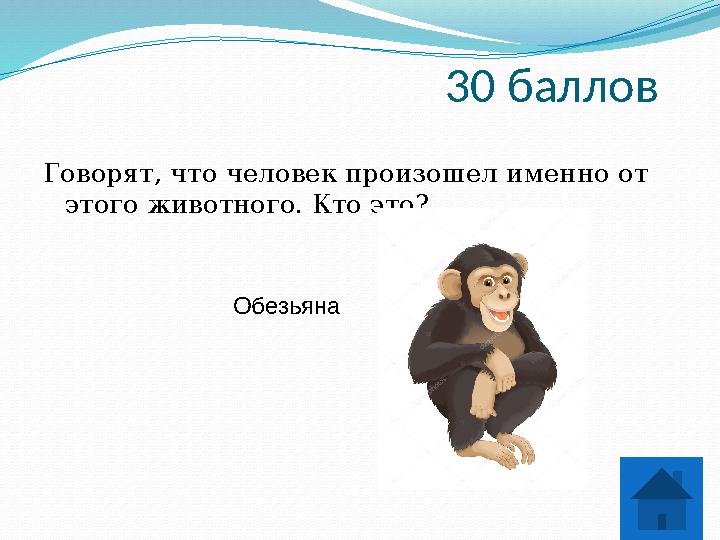 30 баллов Говорят, что человек произошел именно от этого животного. Кто это? Обезьяна