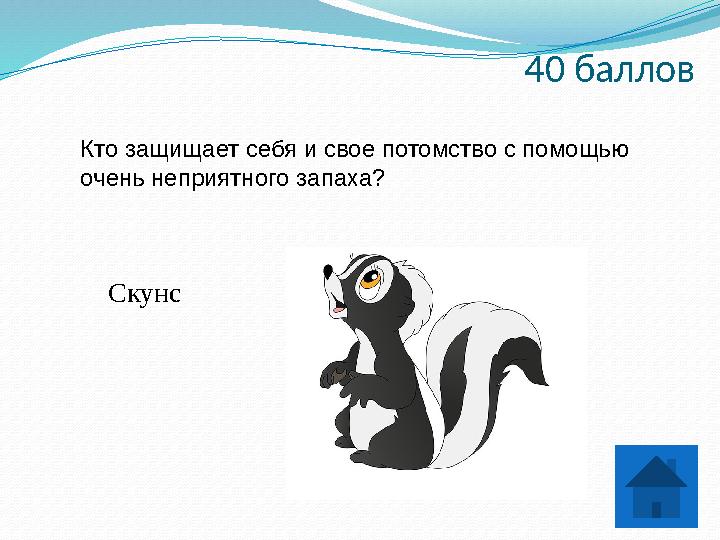 40 баллов Кто защищает себя и свое потомство с помощью очень неприятного запаха? Скунс