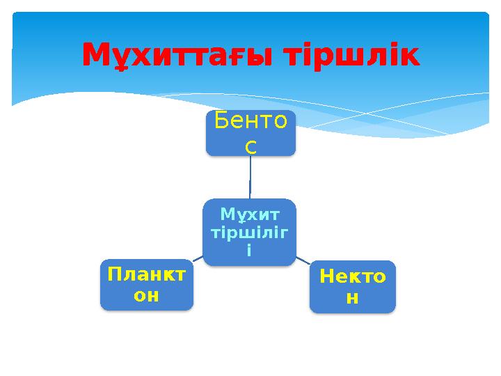 Мұхиттағы тіршлік Мұхит тіршіліг іБенто с Некто нПланкт онМұхиттағы тіршлік