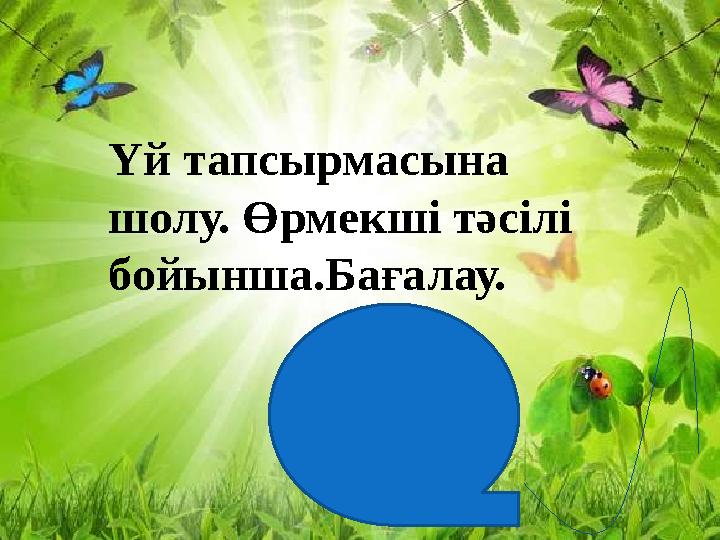 Үй тапсырмасына шолу. Өрмекші тәсілі бойынша.Бағалау.