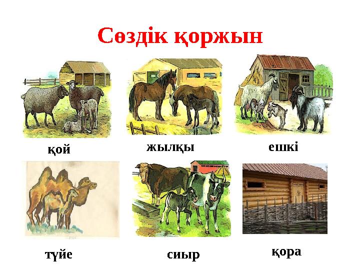 Сөздік қоржын қой жылқы ешкі түйе сиыр қора