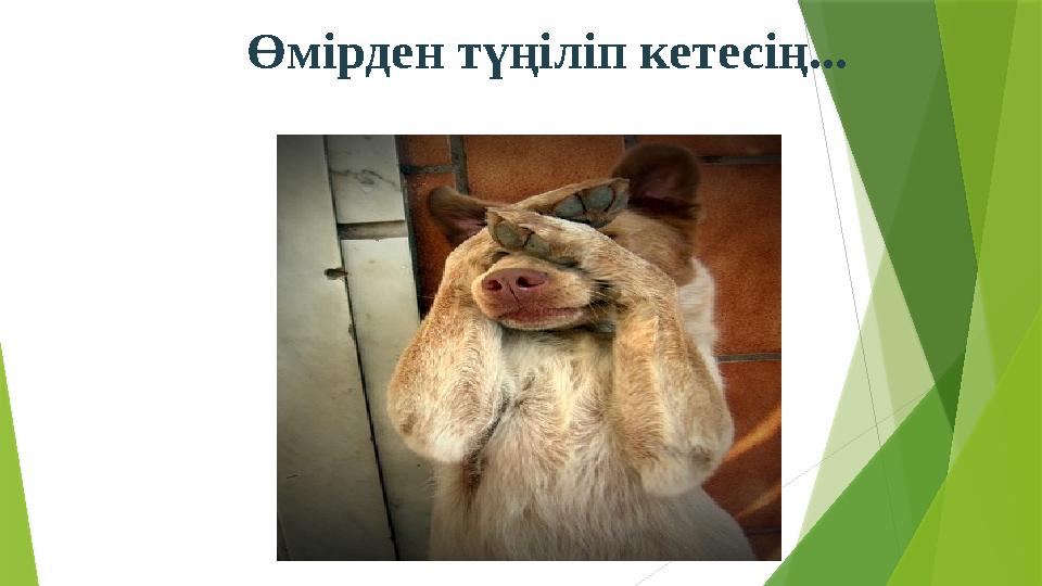 Өмірден түңіліп кетесің...