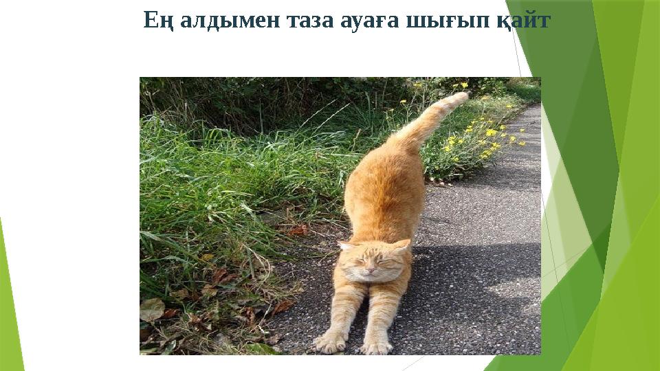 Ең алдымен таза ауаға шығып қайт