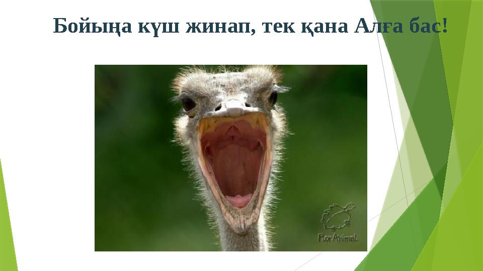 Бойыңа күш жинап, тек қана Алға бас!