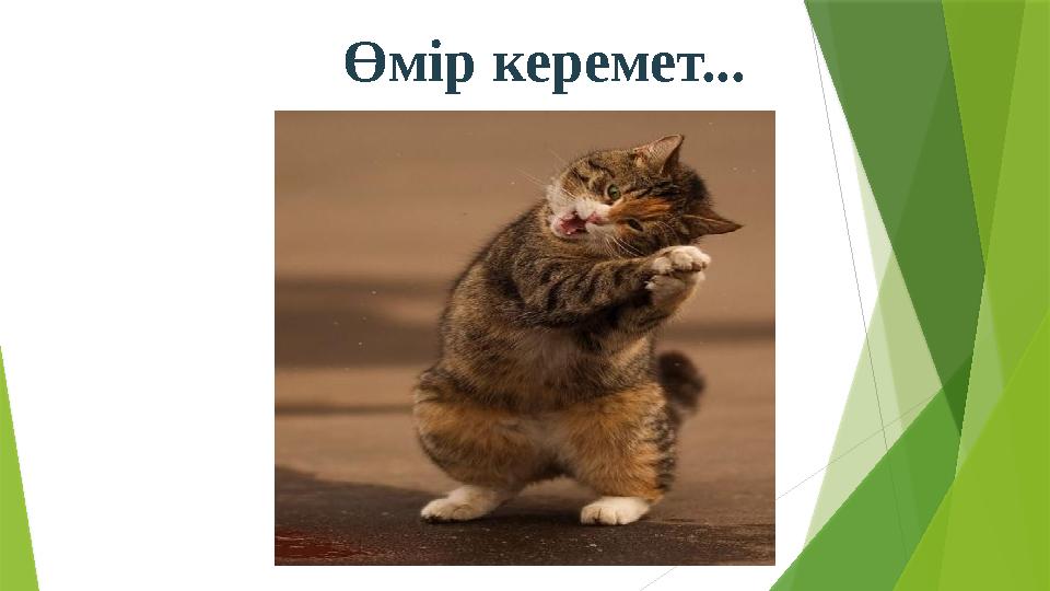 Өмір керемет...
