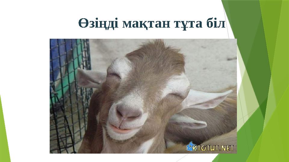 Өзіңді мақтан тұта біл