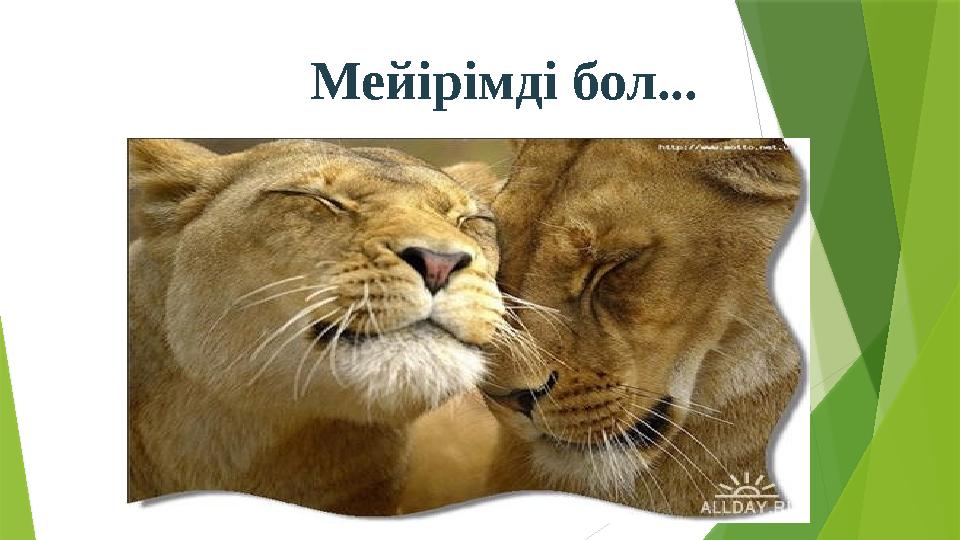 Мейірімді бол...