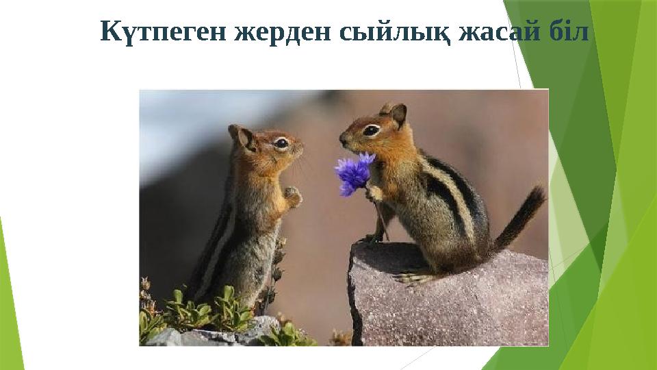 Күтпеген жерден сыйлық жасай біл