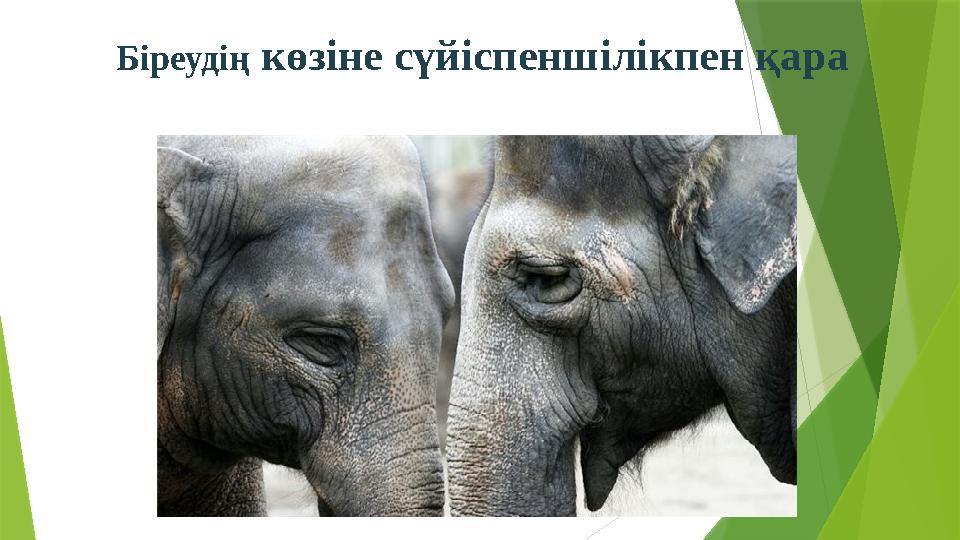 Біреудің көзіне сүйіспеншілікпен қара