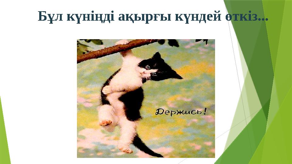 Бұл күніңді ақырғы күндей өткіз...