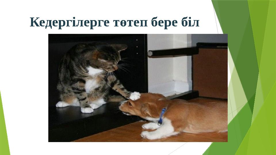 Кедергілерге төтеп бере біл