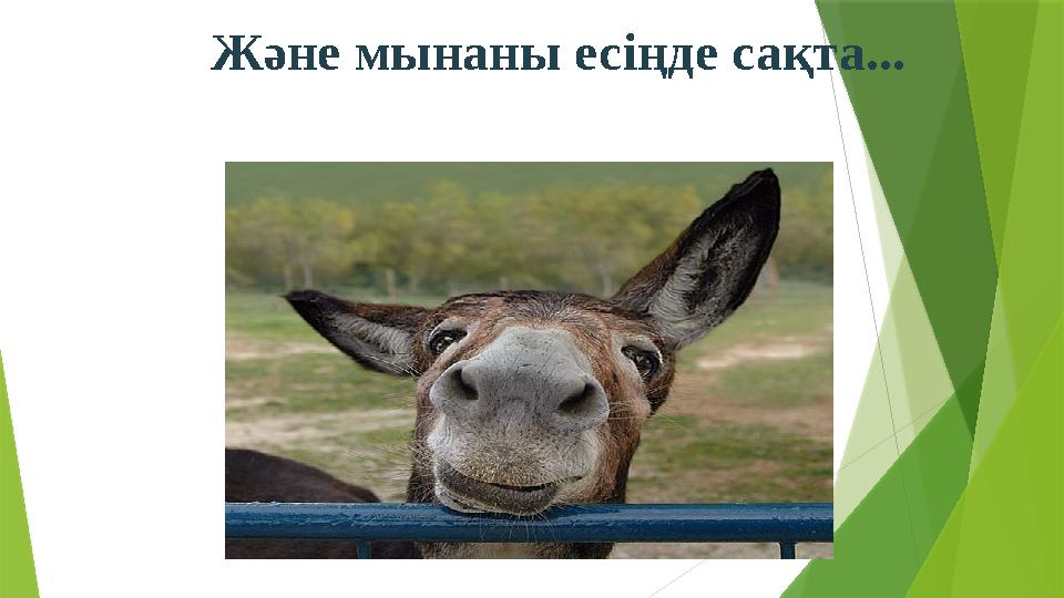 Және мынаны есіңде сақта...