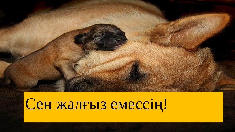 Сен жалғыз емессің!