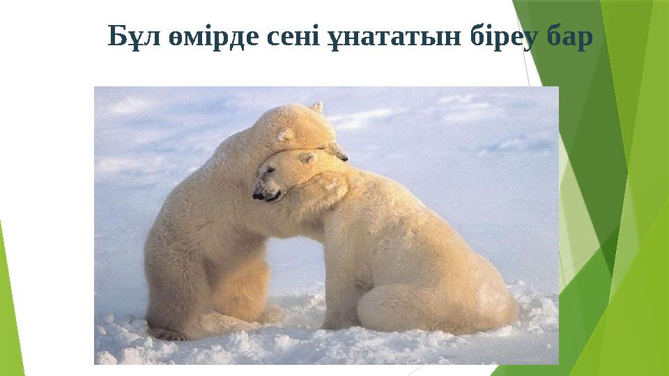 Бұл өмірде сені ұнататын біреу бар
